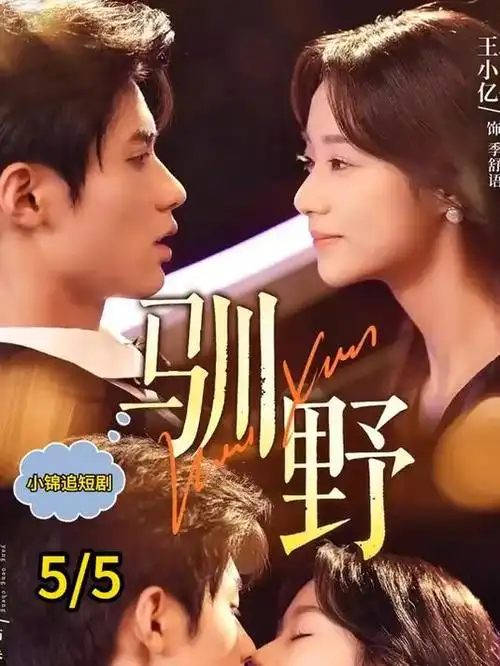 幼儿电影《玩具总动员4》海报
